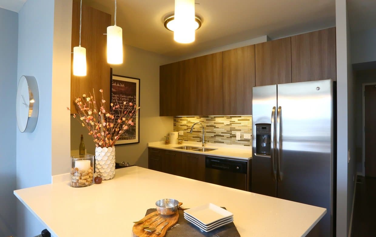 Chicago Condo: 448 North Orleans Street