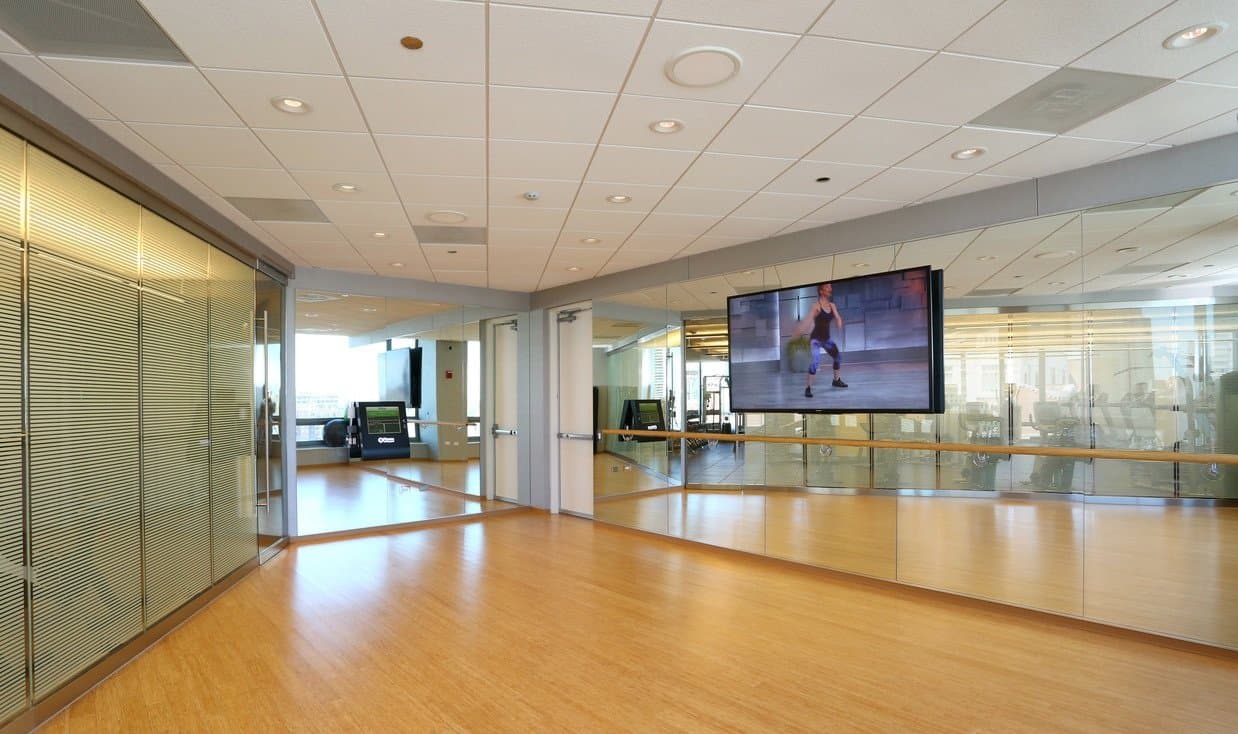 Chicago Condo: 448 North Orleans Street