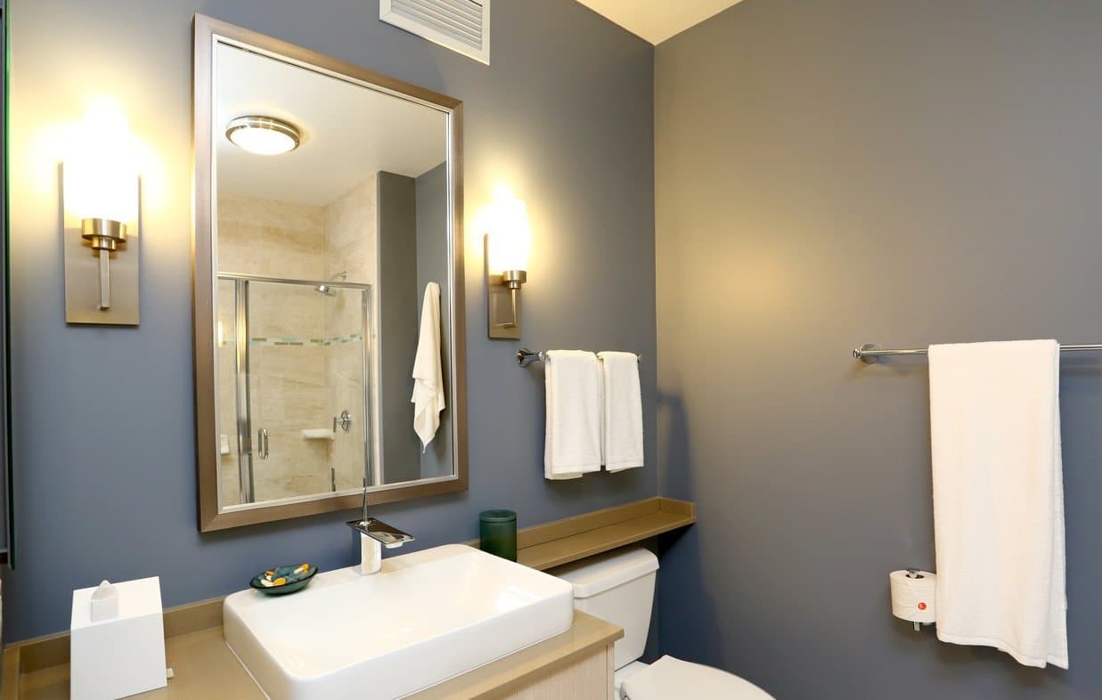 Chicago Condo: 448 North Orleans Street