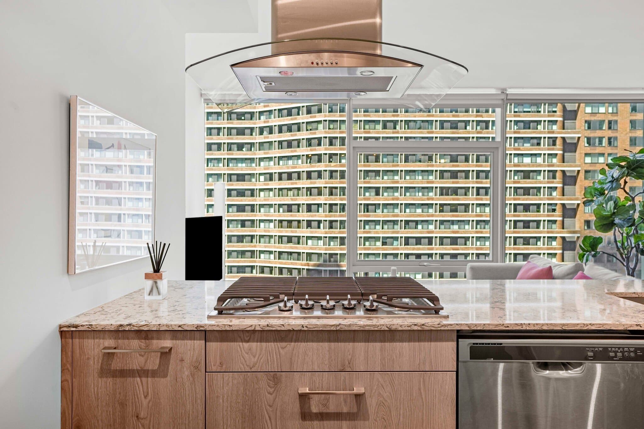 Chicago Condo: 167 East Ohio Street