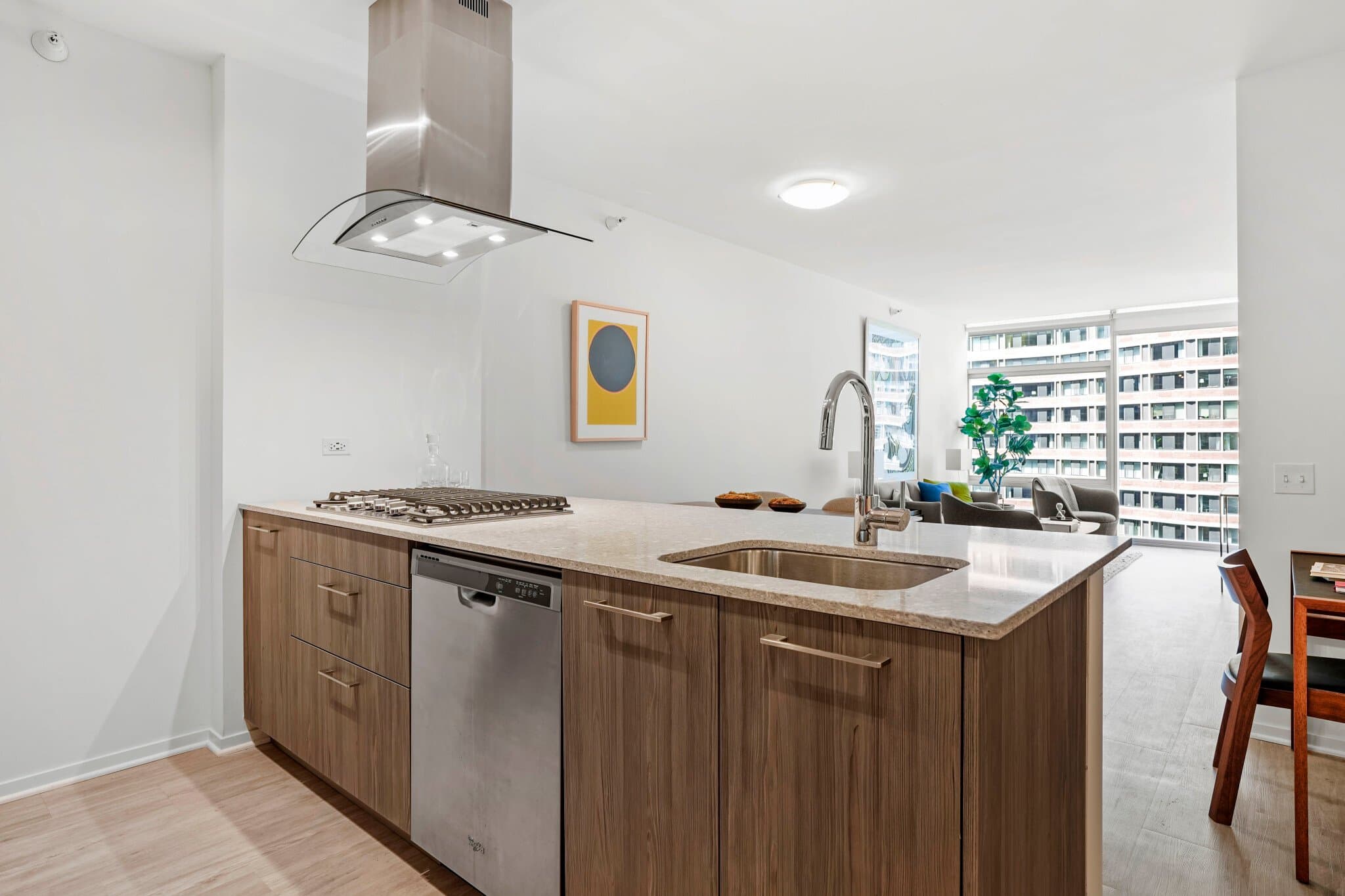 Chicago Condo: 167 East Ohio Street
