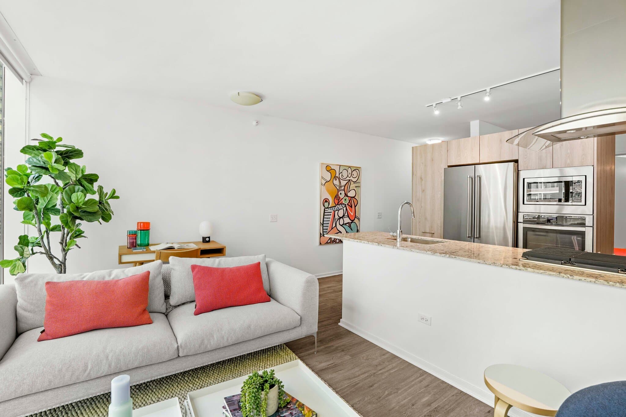 Chicago Condo: 167 East Ohio Street