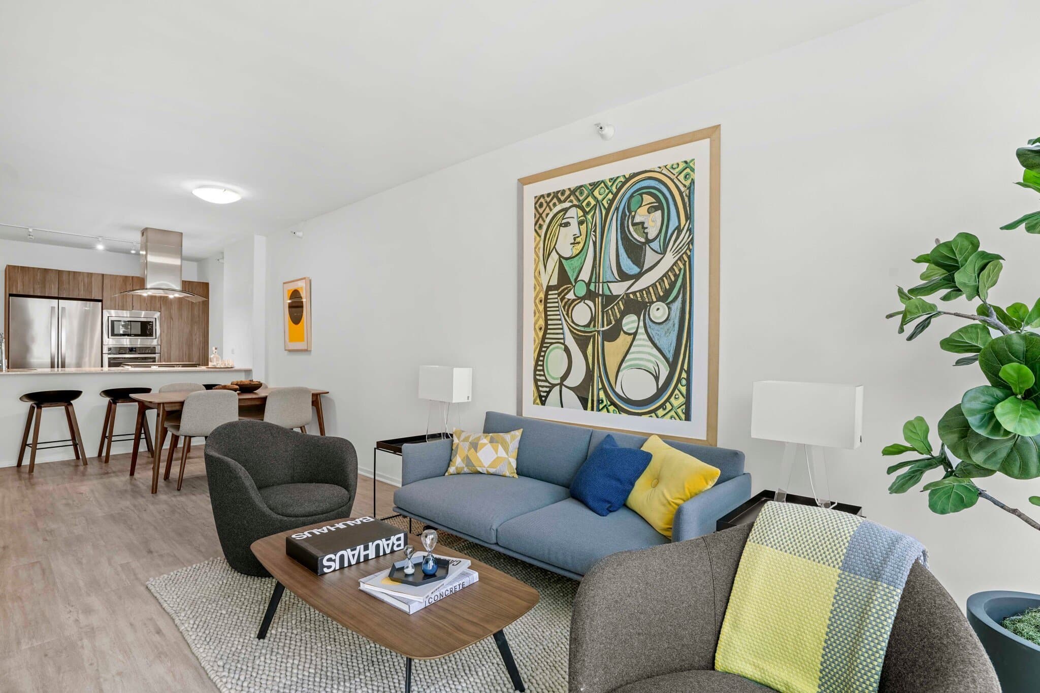 Chicago Condo: 167 East Ohio Street