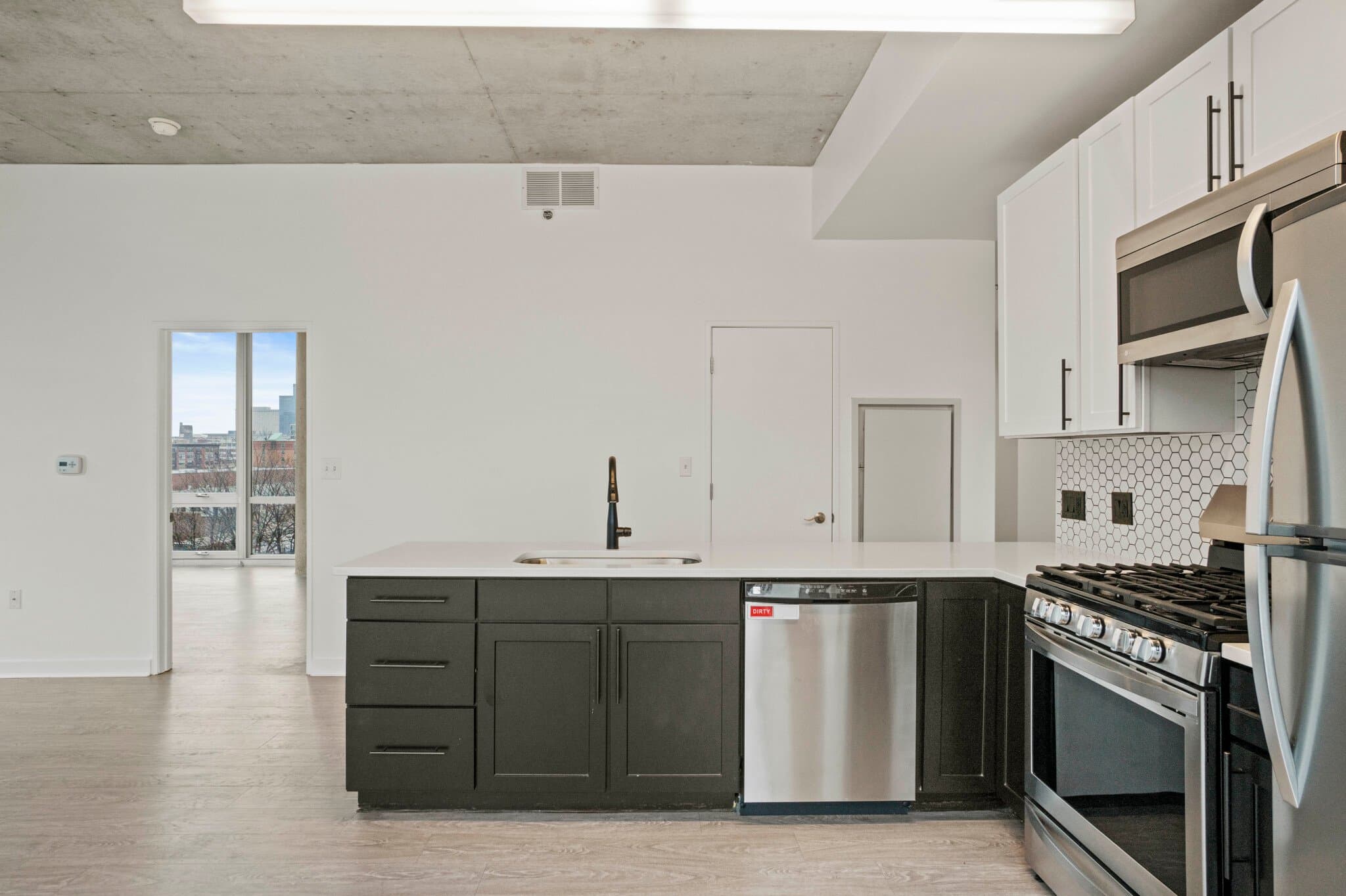Chicago Condo: 1247 South State Street