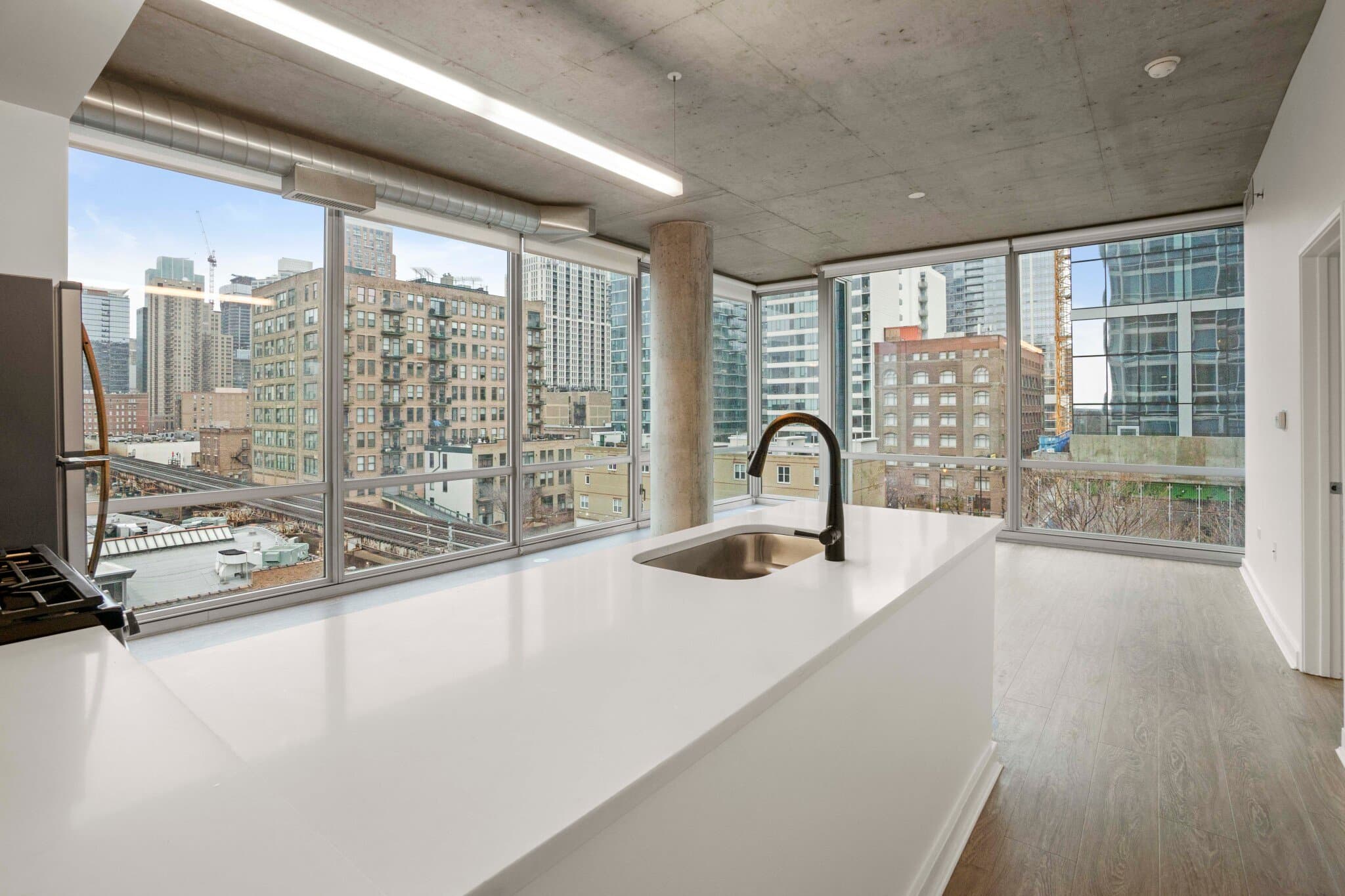 Chicago Condo: 1247 South State Street