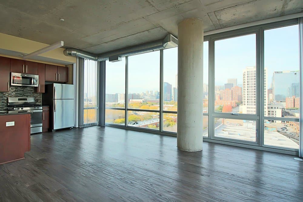 Chicago Condo: 1247 South State Street