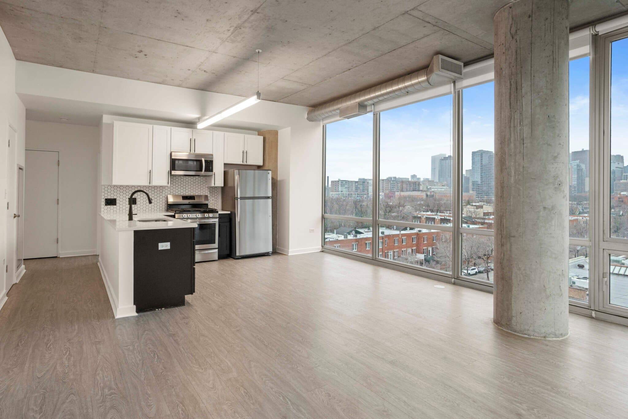 Chicago Condo: 1247 South State Street