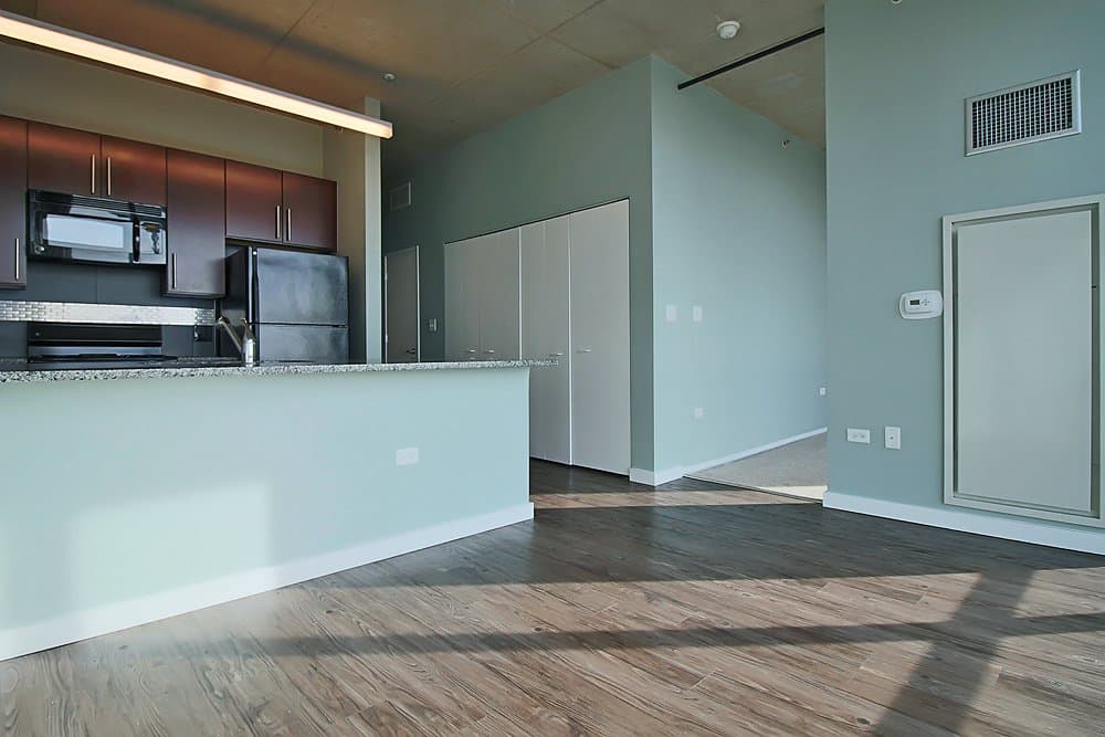 Chicago Condo: 1247 South State Street