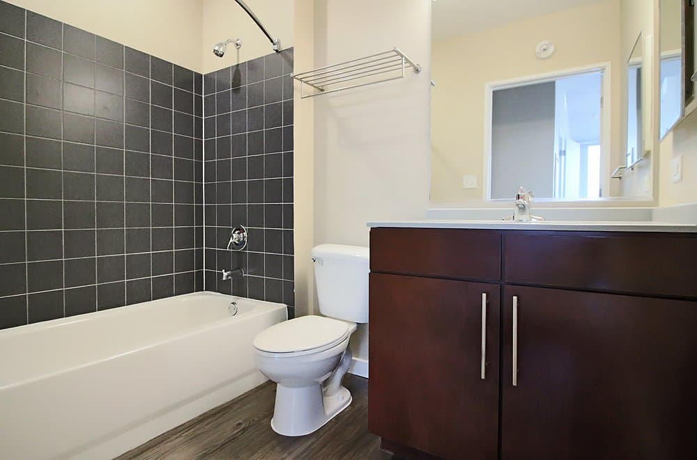 Chicago Condo: 1247 South State Street