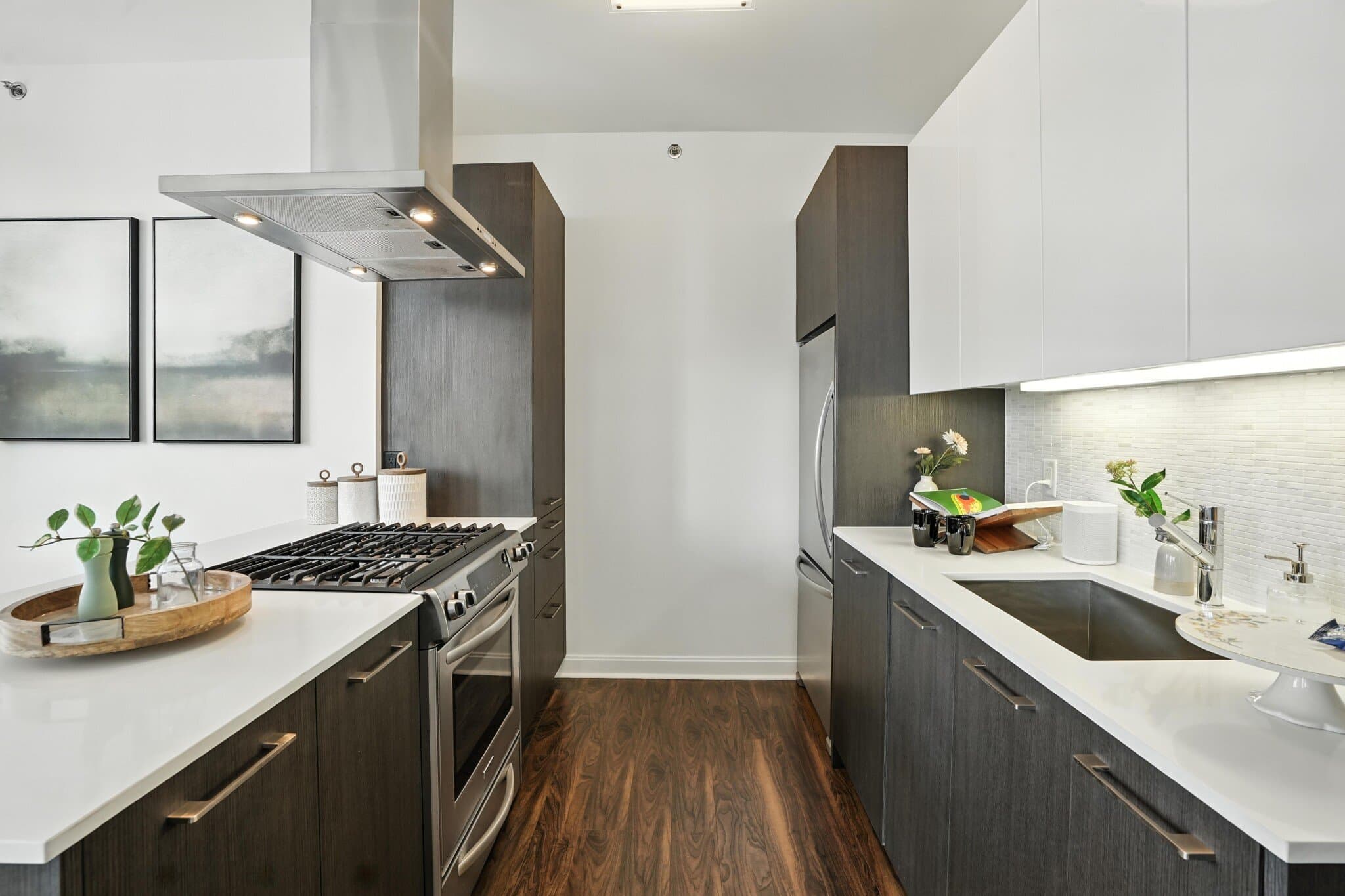 Chicago Condo: 189 North Clark Street