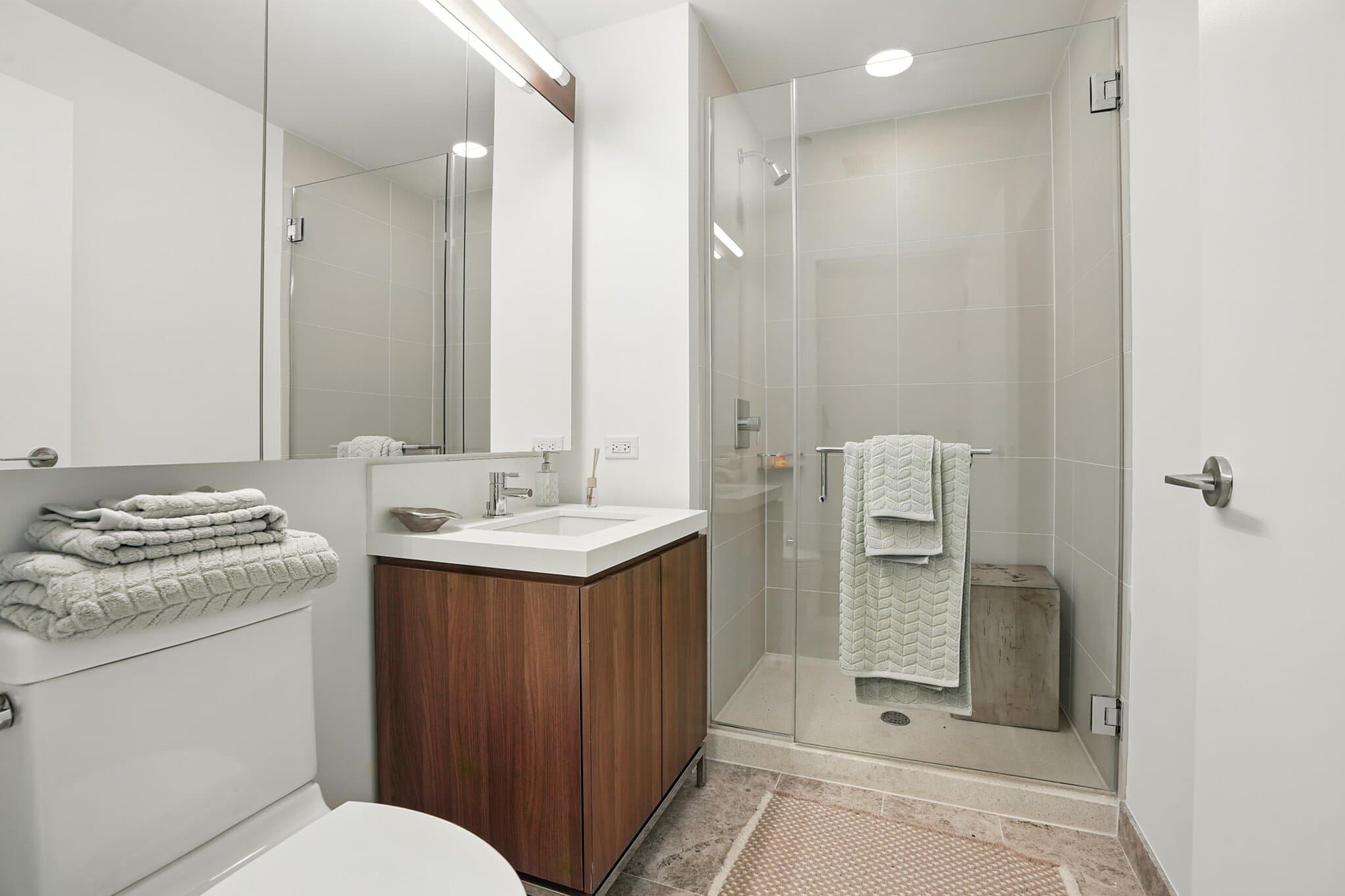Chicago Condo: 189 North Clark Street