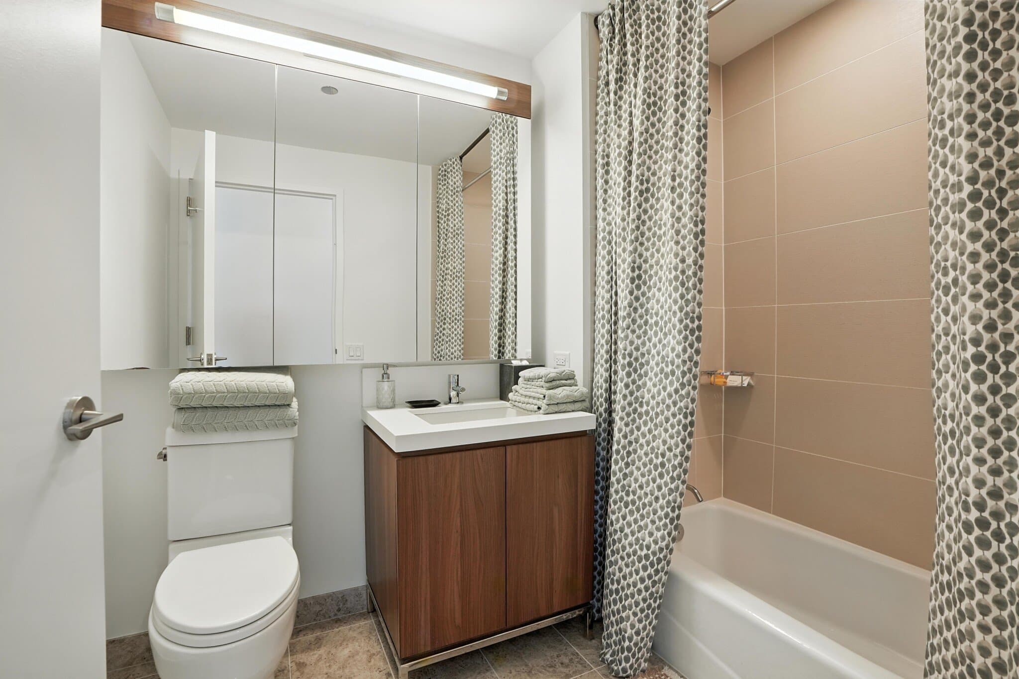 Chicago Condo: 189 North Clark Street