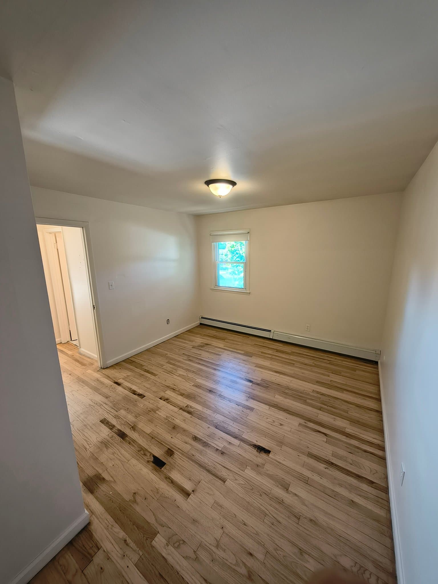 New Brunswick Multiplex: 15 Kempton St