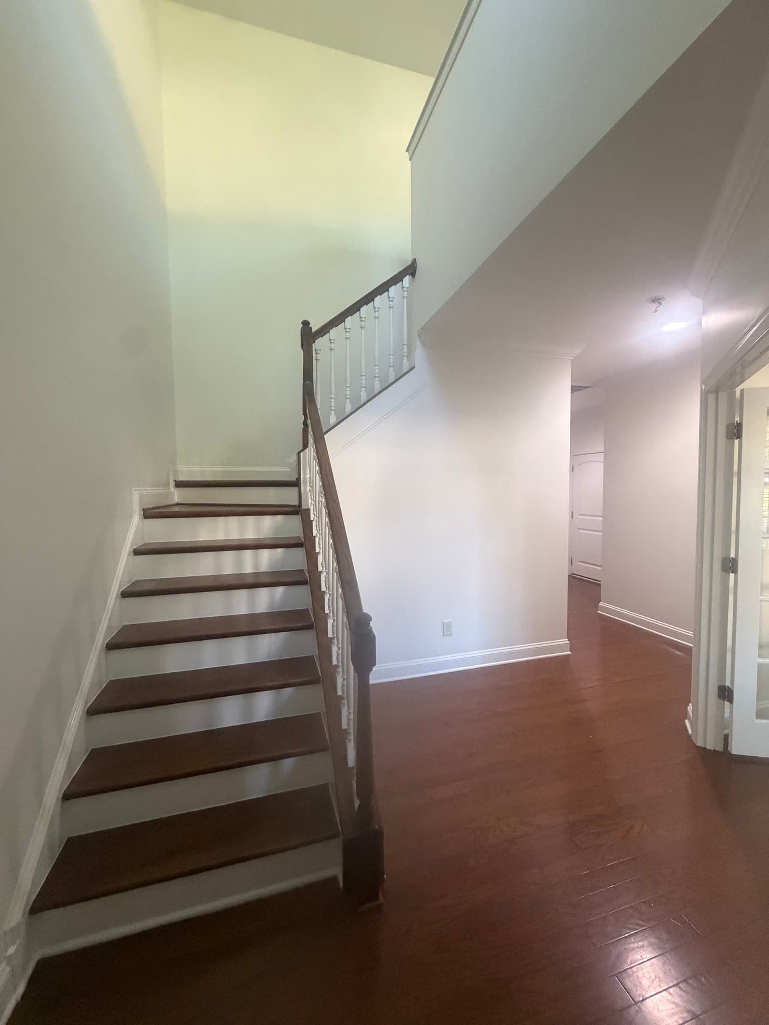Raleigh House: 5321 Orabelle Ct