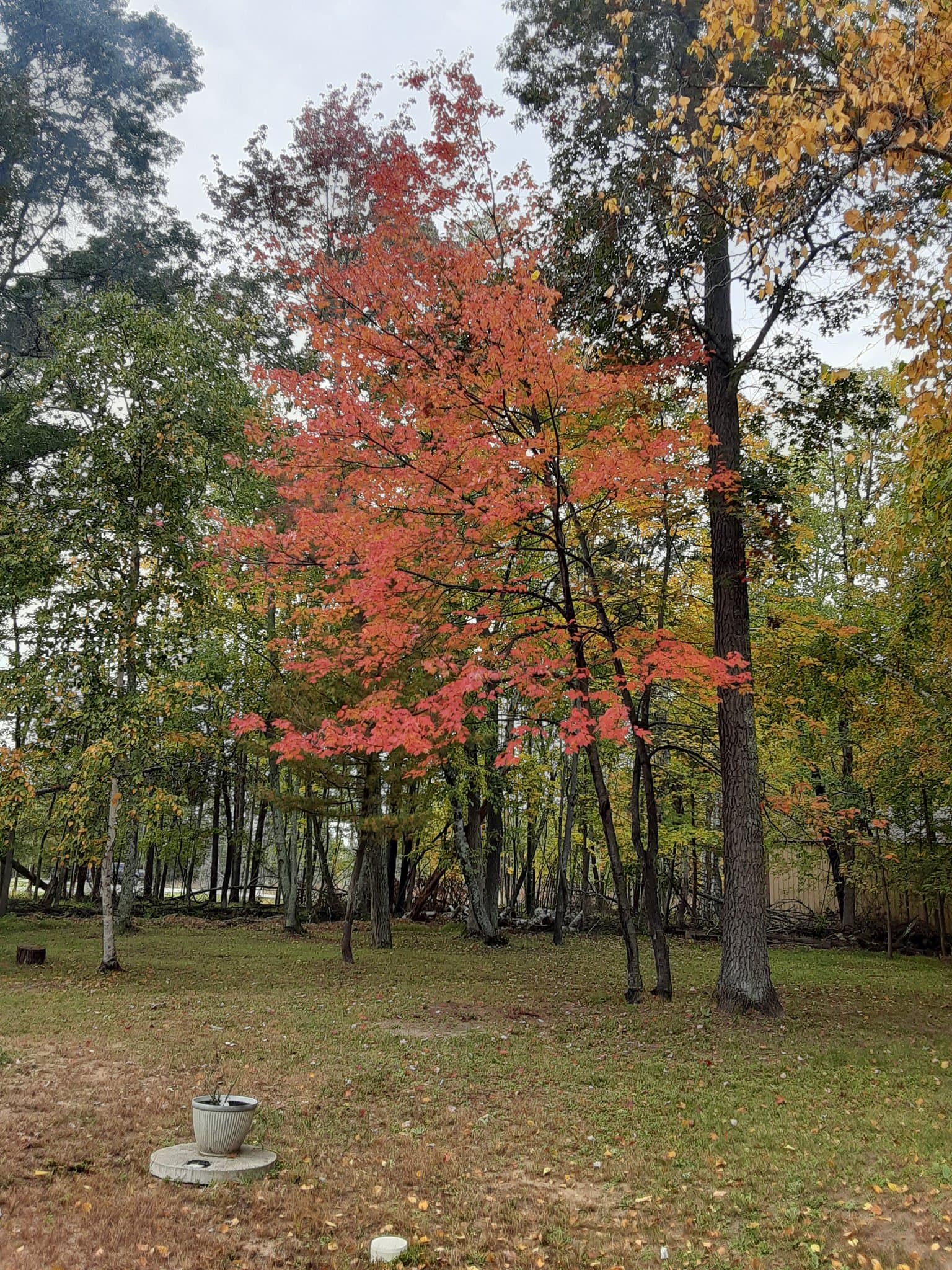 Crosslake Townhome: 13978 Daggett Bay Rd