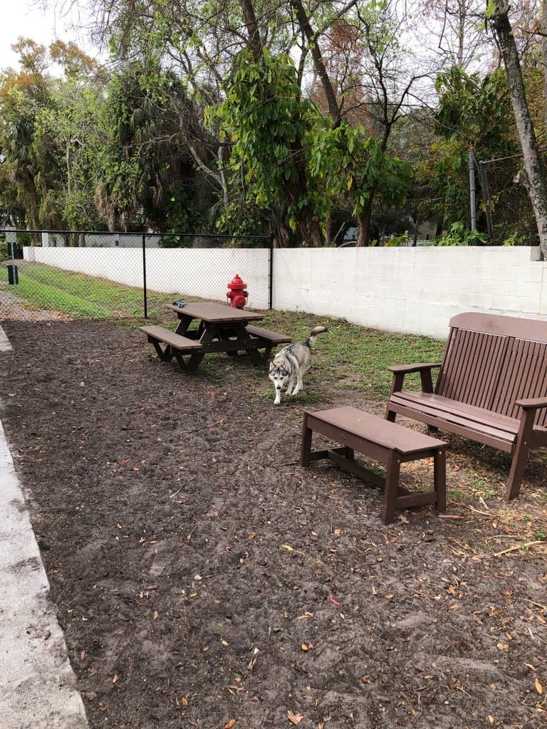 Tampa Apartment: 115 S Lois Ave