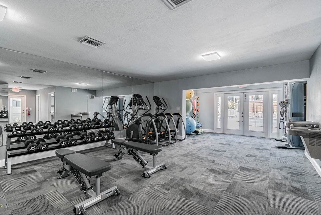 Tampa Apartment: 115 S Lois Ave
