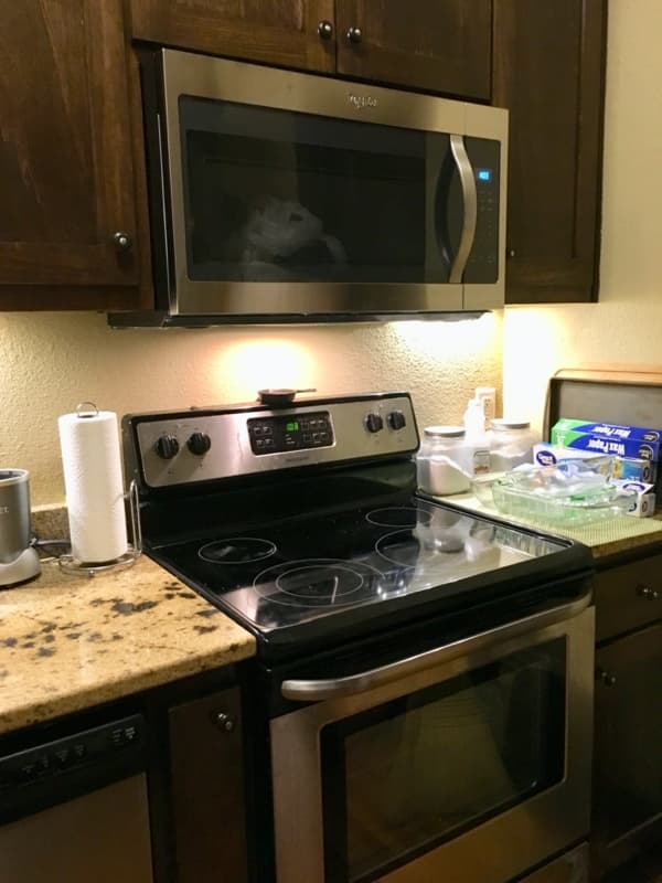 Little Rock Apartment: 616 E 7th St