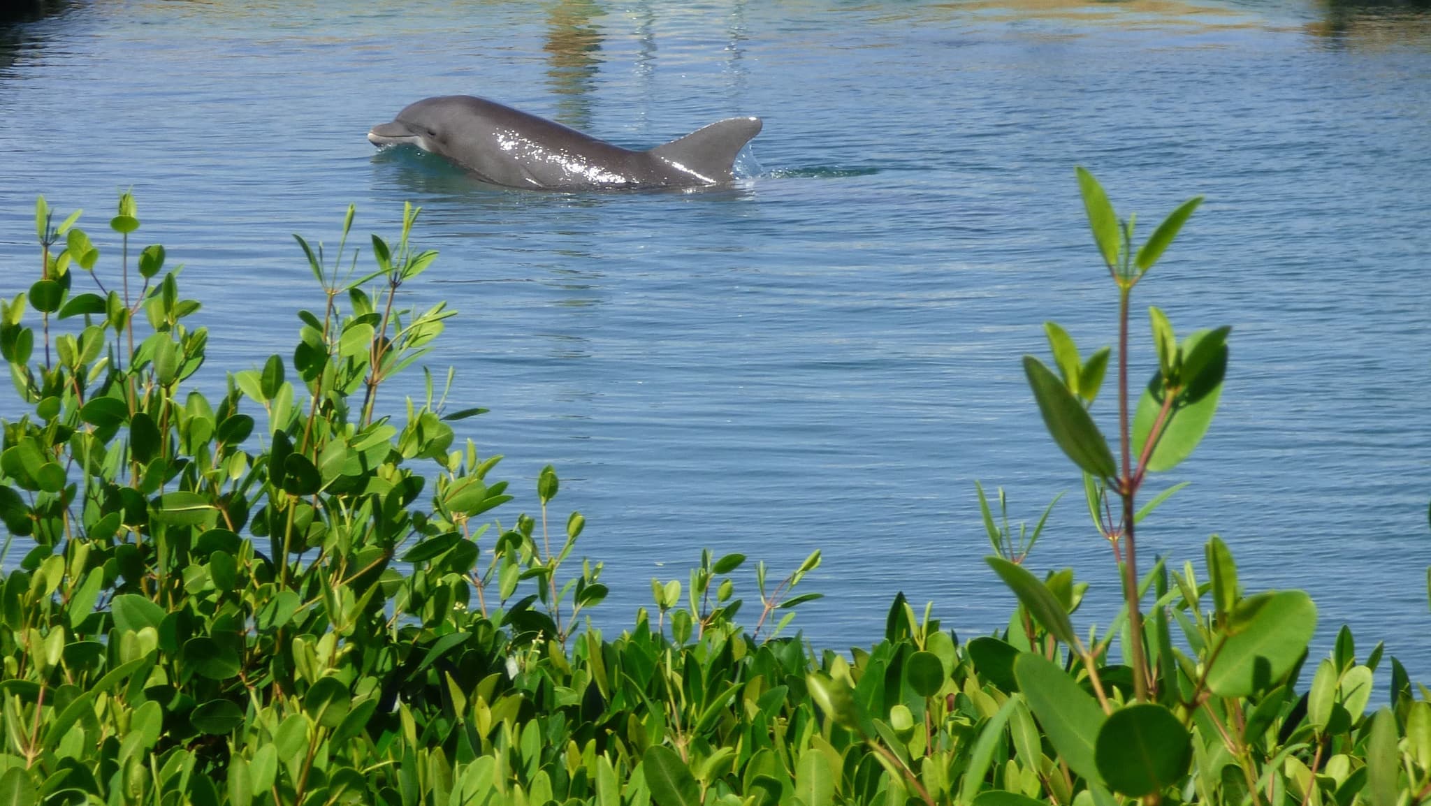 Daytona Beach Condo: 500 Marina Point Dr.
