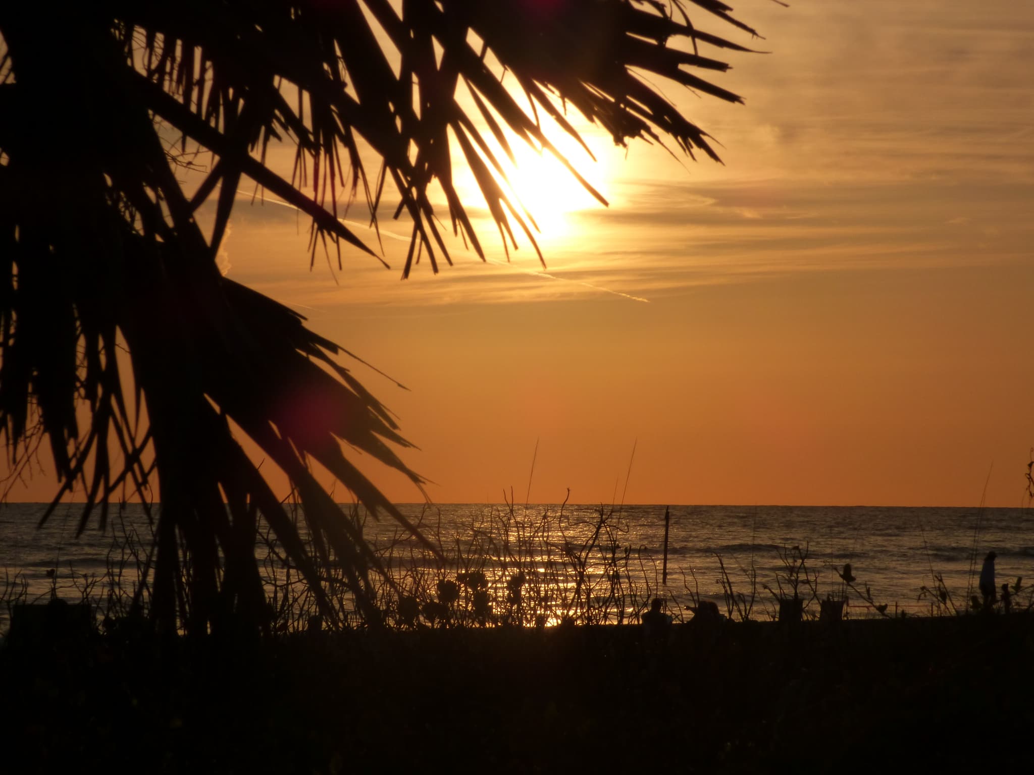 Daytona Beach Condo: 500 Marina Point Dr.