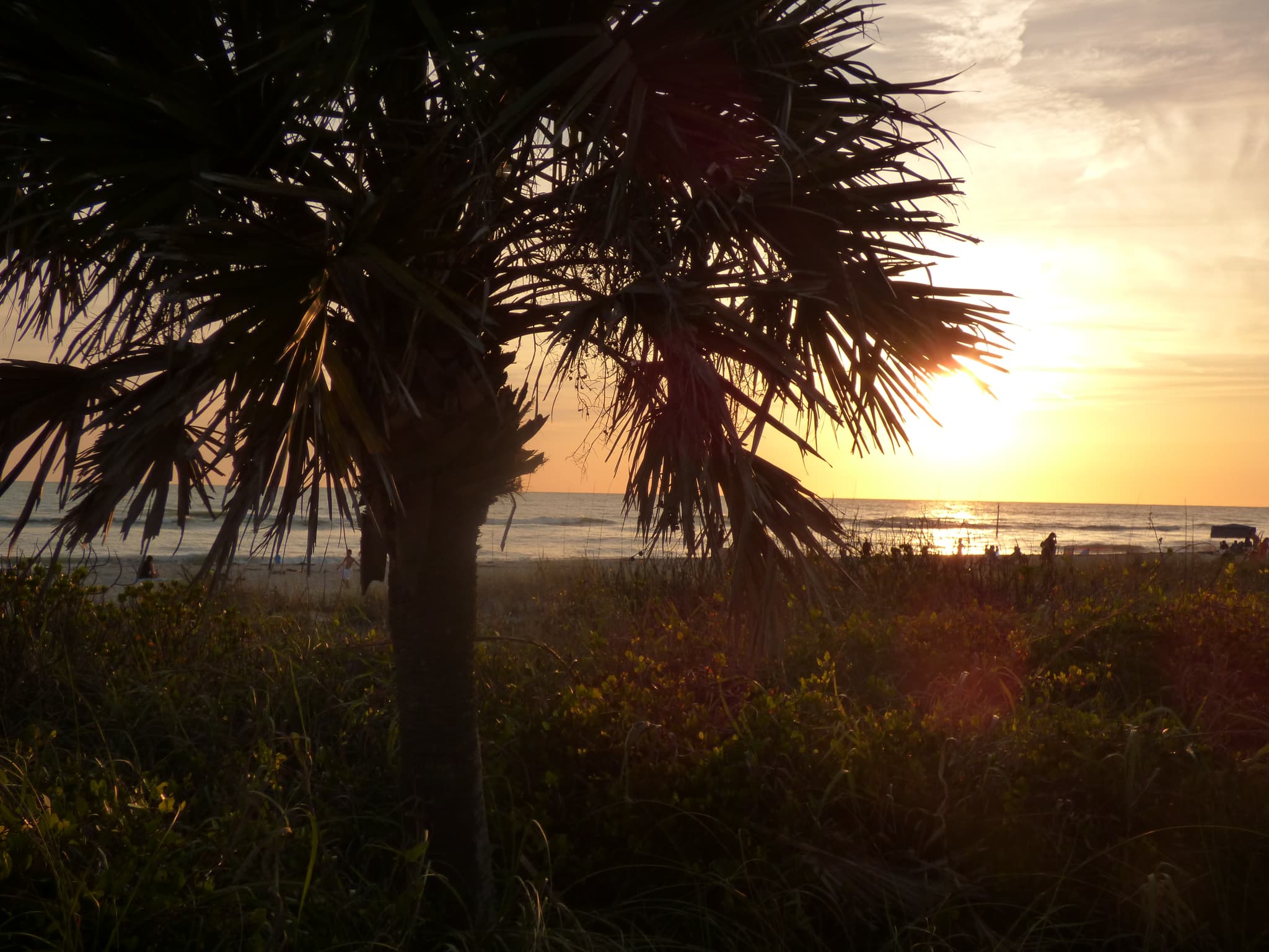 Daytona Beach Condo: 500 Marina Point Dr.