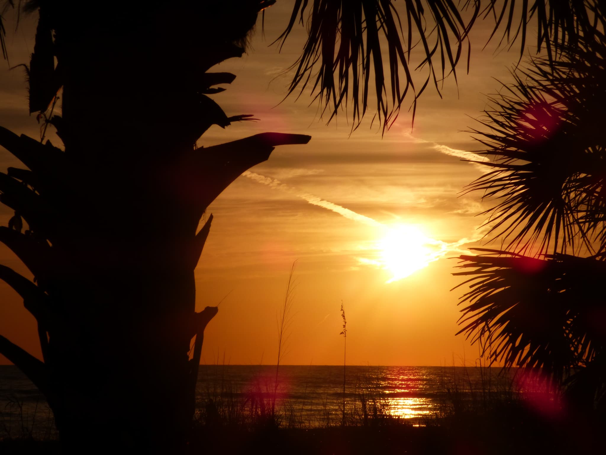 Daytona Beach Condo: 500 Marina Point Dr.