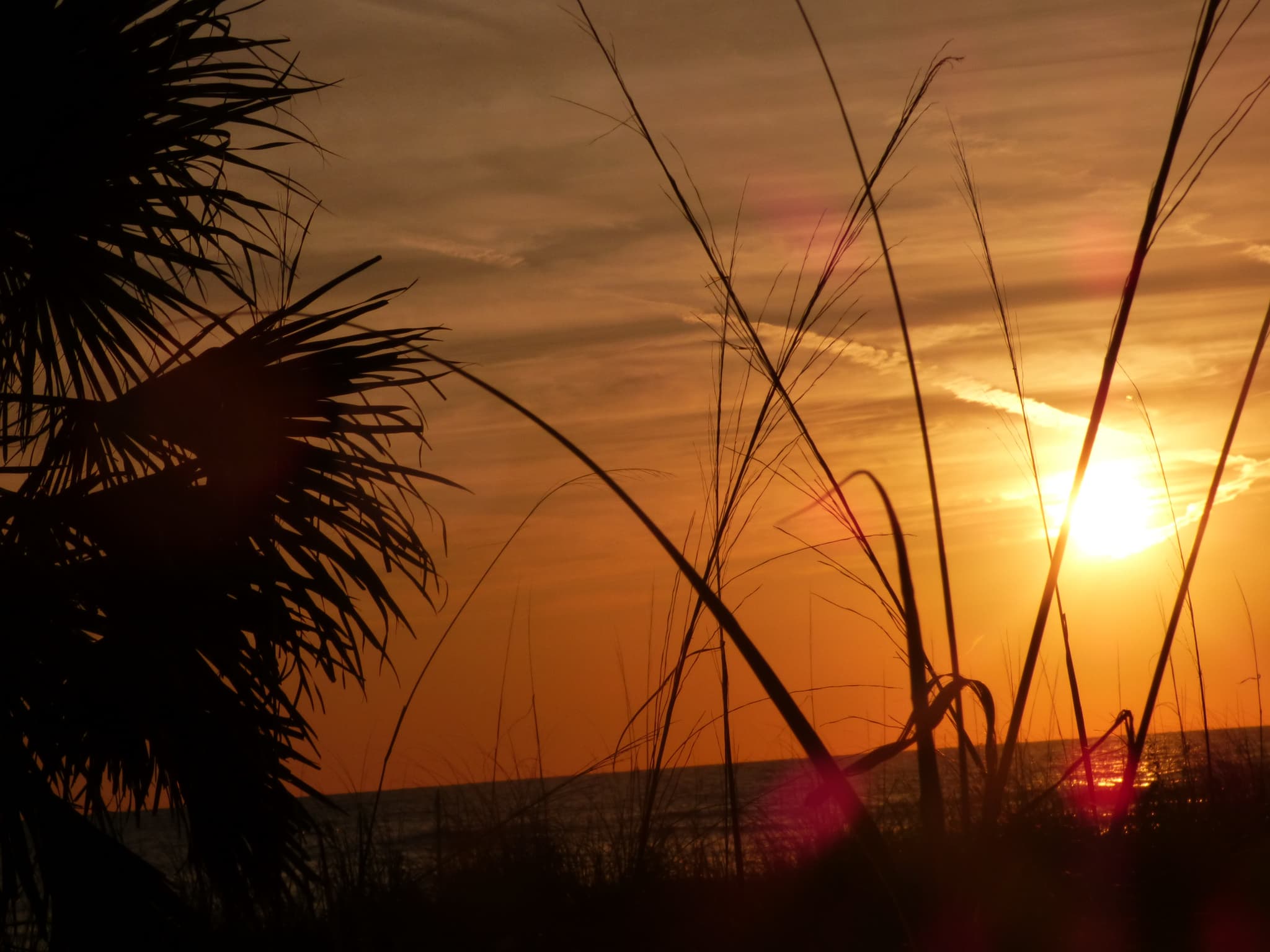 Daytona Beach Condo: 500 Marina Point Dr.