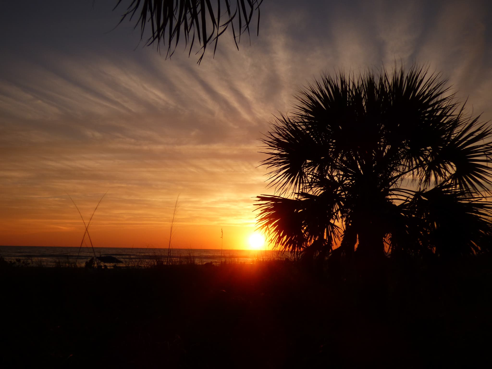 Daytona Beach Condo: 500 Marina Point Dr.