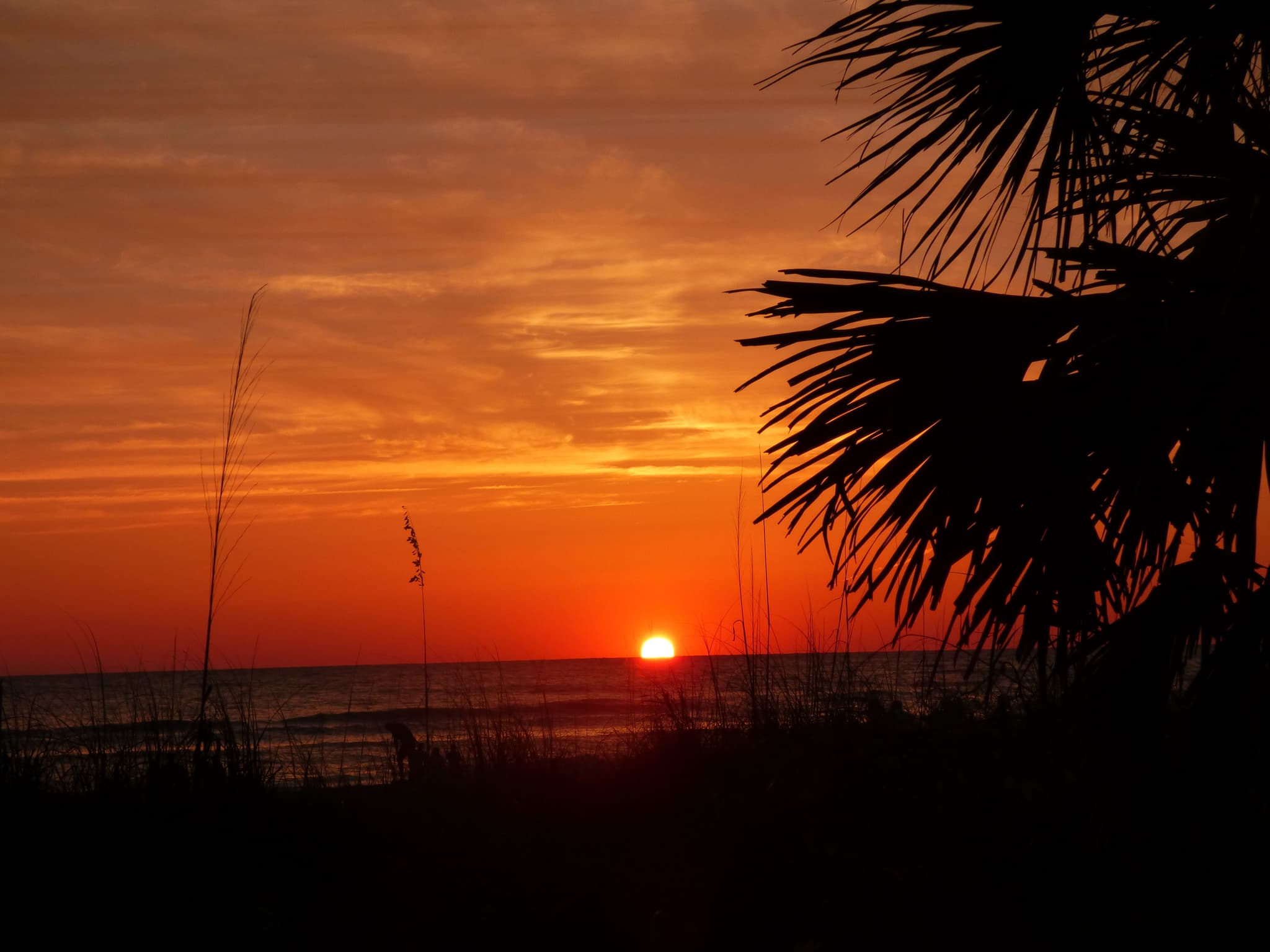 Daytona Beach Condo: 500 Marina Point Dr.