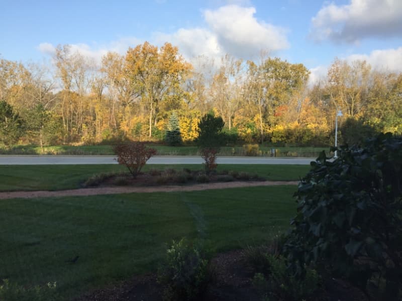 Franklin Condo: 6995 S Riverwood Blvd