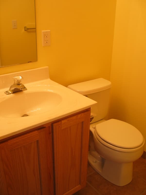 Shakopee Townhome: 7378 Devin Ln