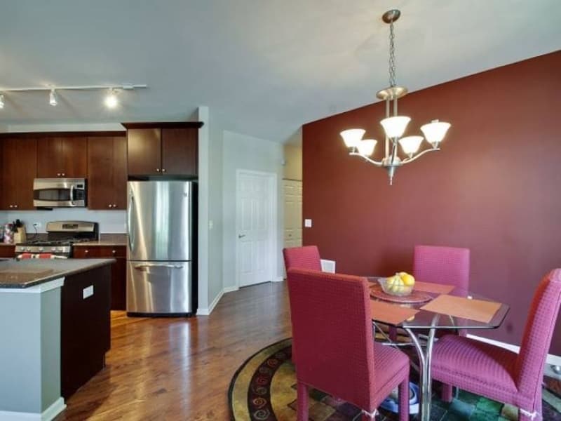 Chicago Apartment: 1451 S Halsted St