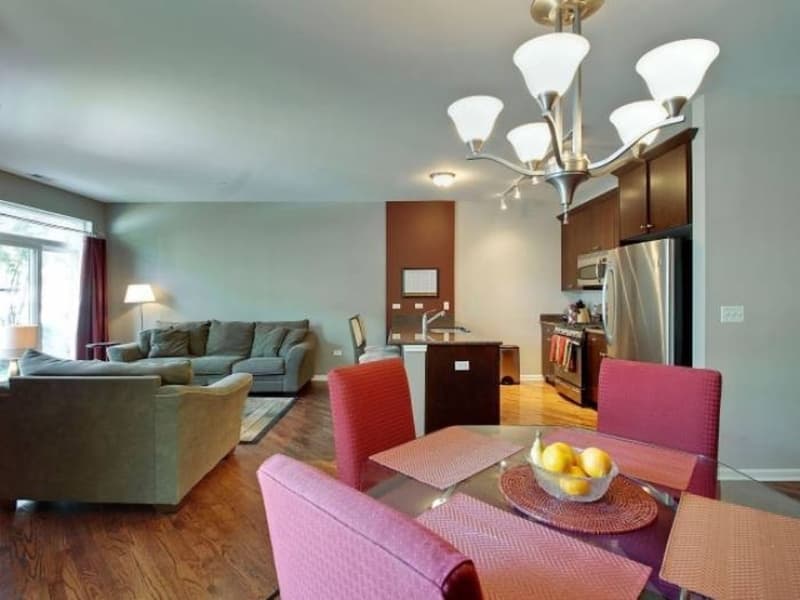 Chicago Apartment: 1451 S Halsted St