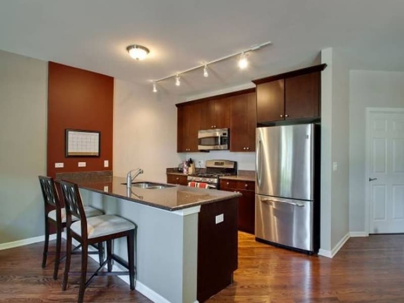 Chicago Apartment: 1451 S Halsted St