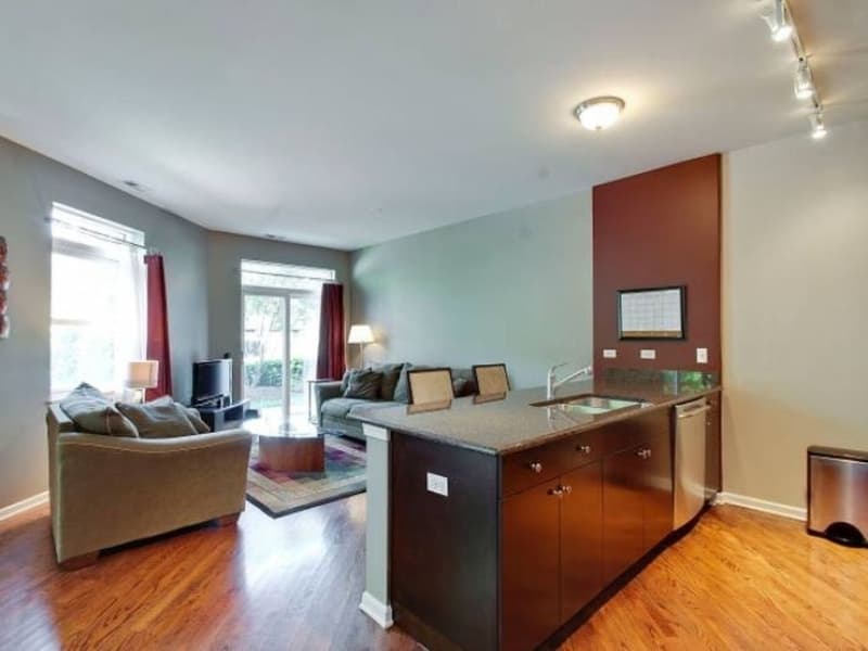 Chicago Apartment: 1451 S Halsted St