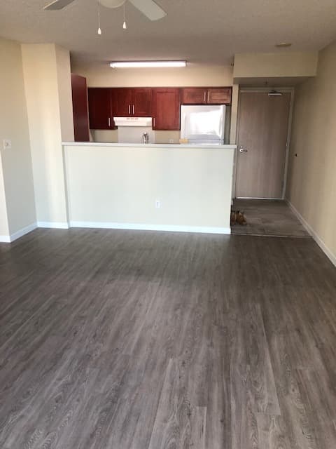Honolulu Condo: 1133 Waimanu
