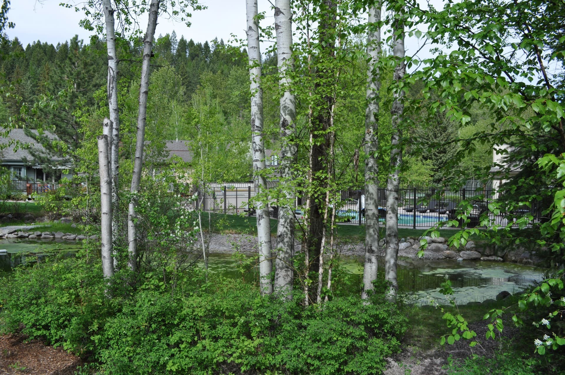 Whitefish Condo: 1750 E. Lakeshore Drive #209