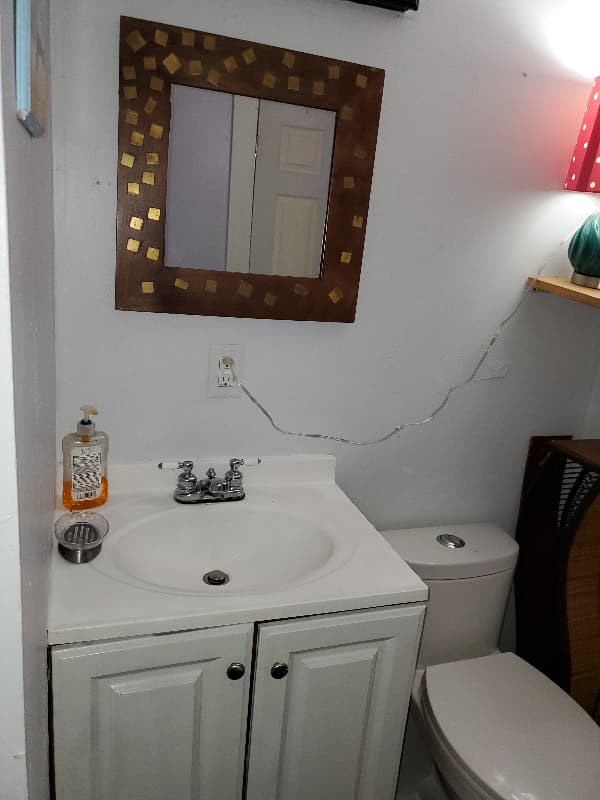 Boston Multiplex: 29 Beech Glen St