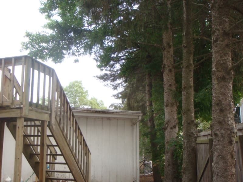 Mount Pleasant Multiplex: 1100 W Campus Dr