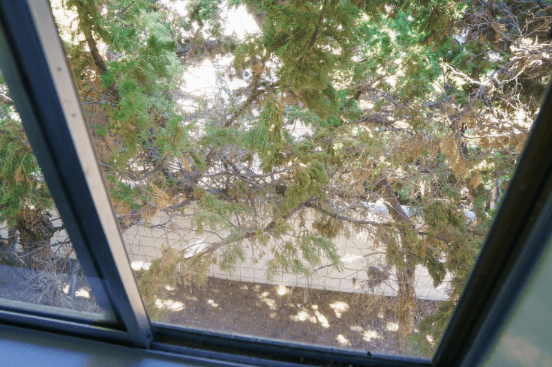El Cajon Apartment: 335 Claydelle Ave