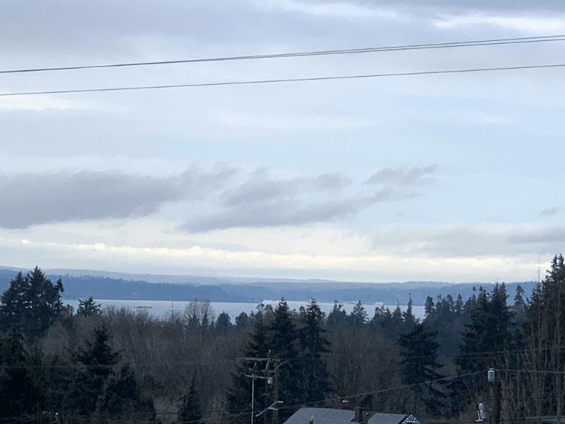 Seattle Townhome: 10162 Holman Rd NW