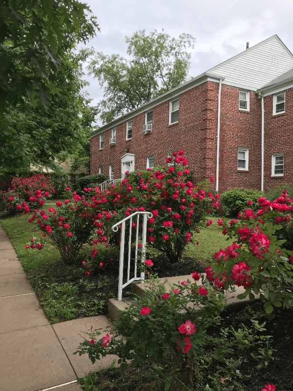 Highland Park Apartment: 316 Magnolia Street
