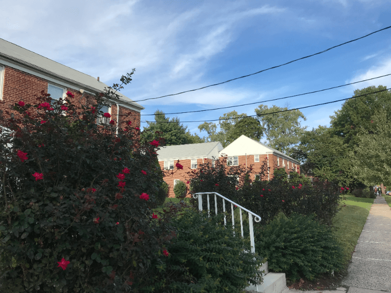 Highland Park Apartment: 316 Magnolia Street