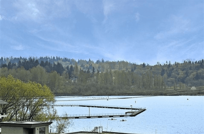 Kirkland Apartment: 9032 NE Juanita Dr