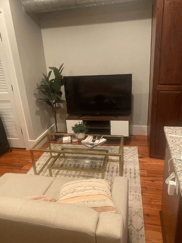 Charleston Apartment: 15 Sires St