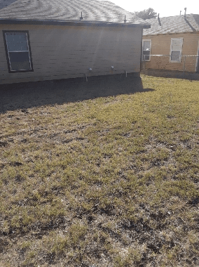 Killeen Multiplex: 1603 Duncan Ave
