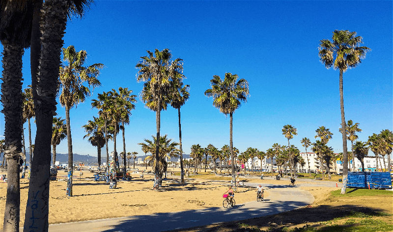 Venice Apartment: 12 S Venice Blvd