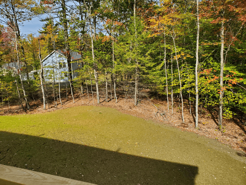 Gray Multiplex: 5 Dogwood Ln