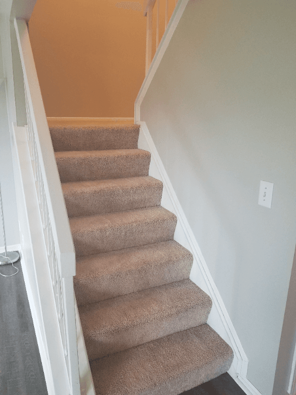 Clinton Township Condo: 37019 Brynford Dr