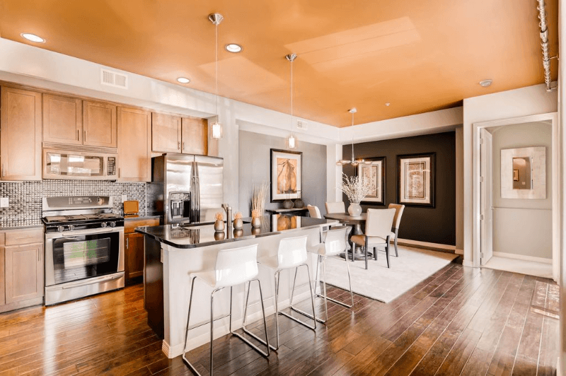 Denver Condo: 1100 N Grant St